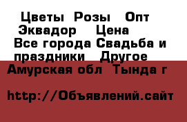 Цветы. Розы.  Опт.  Эквадор. › Цена ­ 50 - Все города Свадьба и праздники » Другое   . Амурская обл.,Тында г.